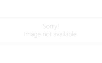 WIDGETY IMAGE NOT AVAILABLE.jpg